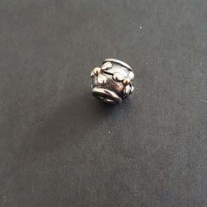 Pandora  charm